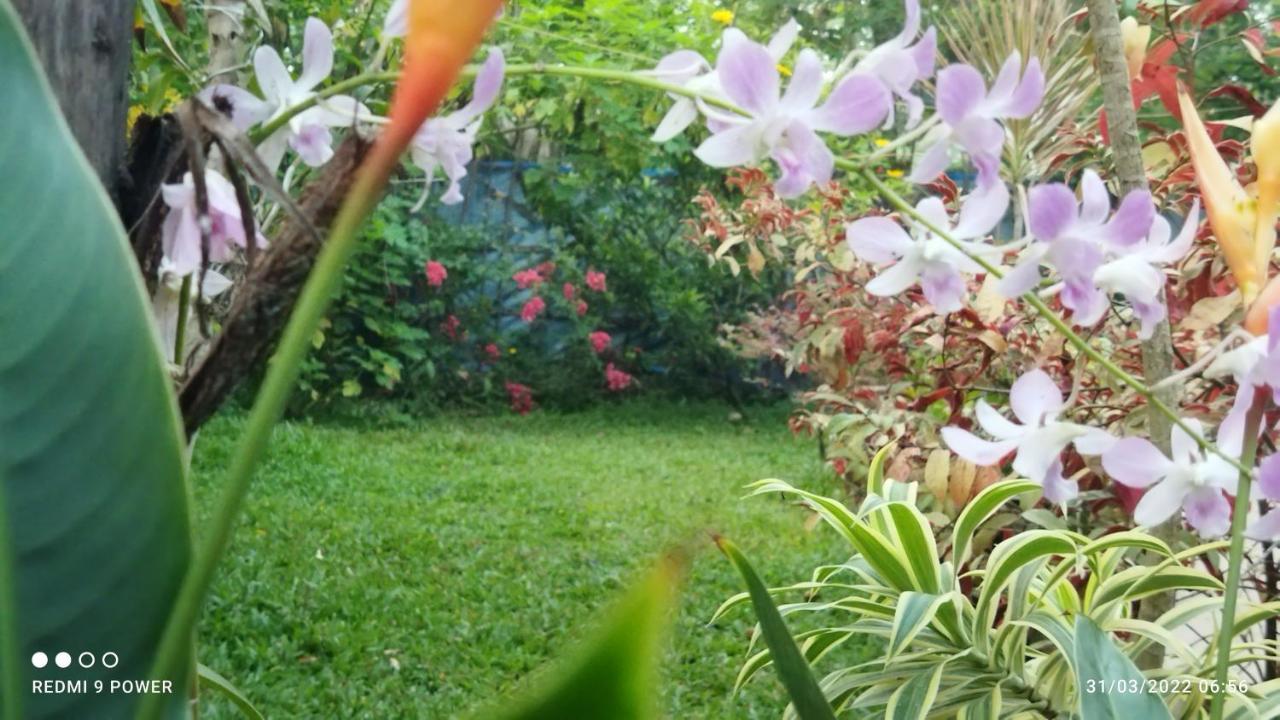 Marari Sabari Home Stay Mararikulam Εξωτερικό φωτογραφία